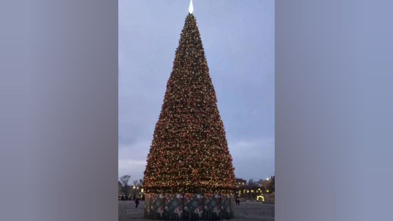 Главная новогодняя ёлка Саратова торжественно засияла